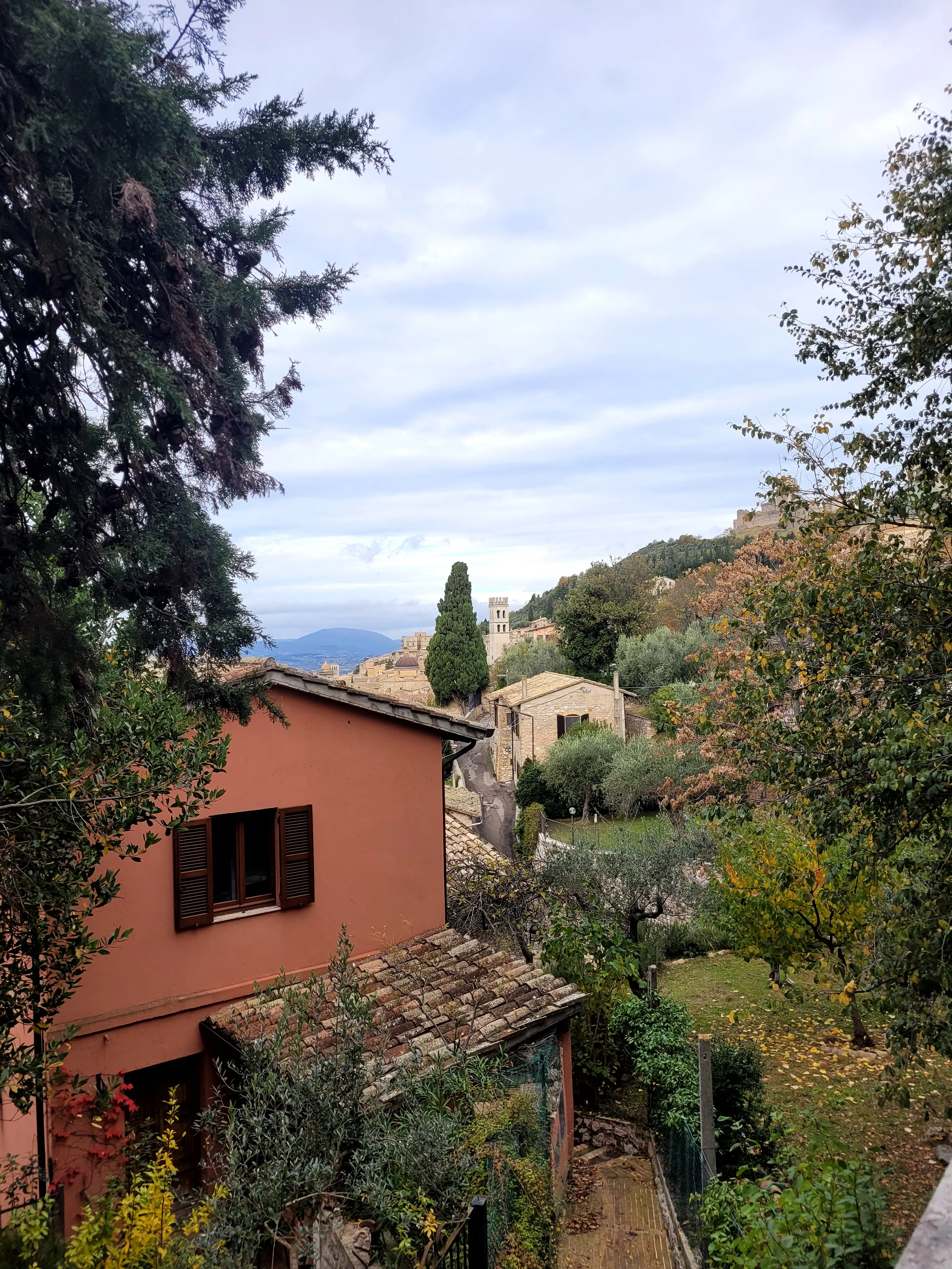 2025 Assisi thumbnail