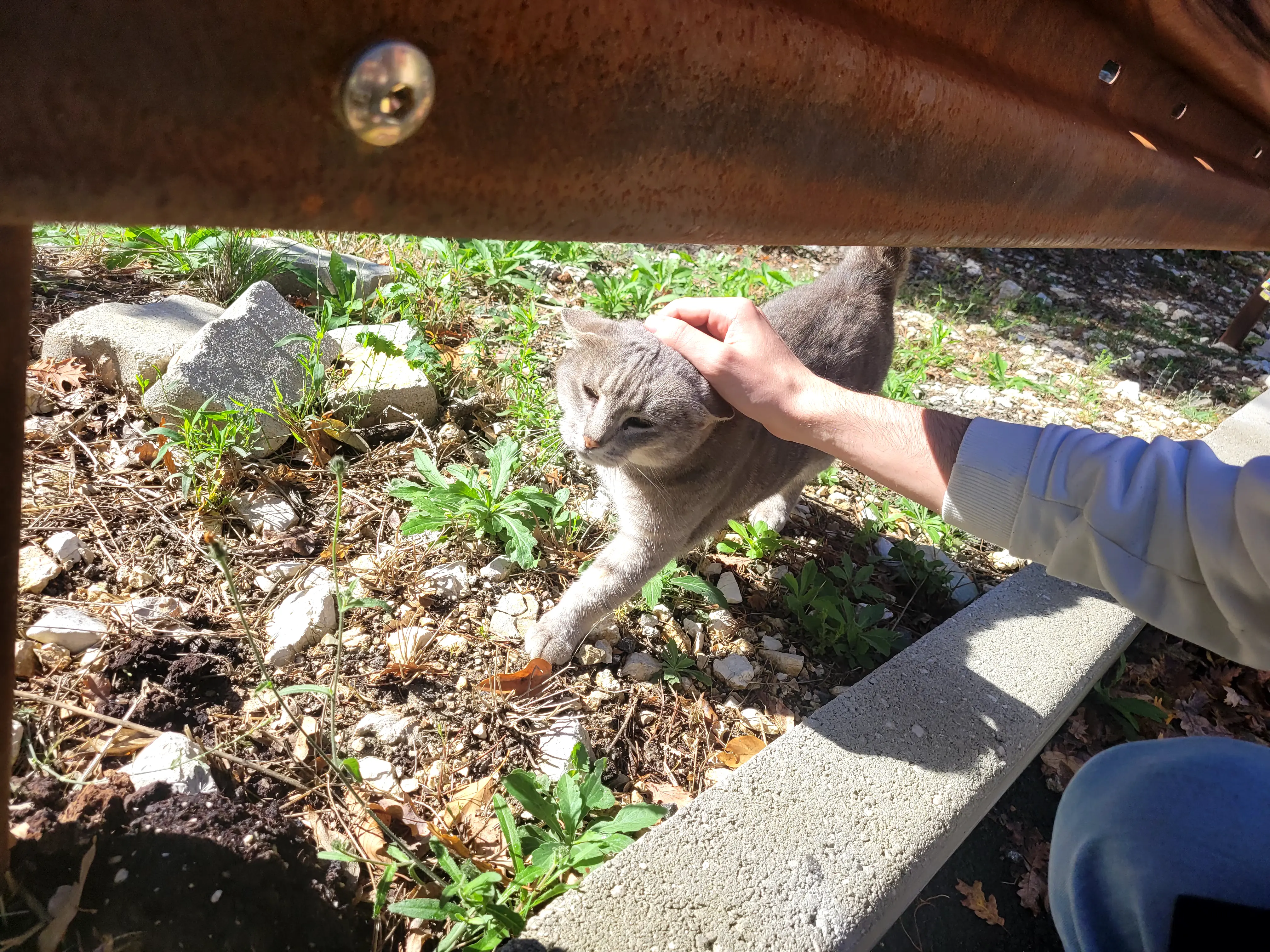 2025 Assisi thumbnail